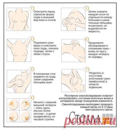 Как вылечить мастопатию: основные правила борьбы | «Стелла» – официальный сайт препарата, применение, показания | Лечение миомы, мастопатии&lt;