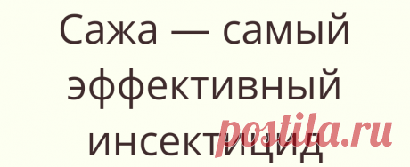 Сажа — самый эффективный инсектицид
Известно, что при топке любых печей дровами идёт активное обра­зование сажи, от...
Читай дальше на сайте. Жми подробнее ➡