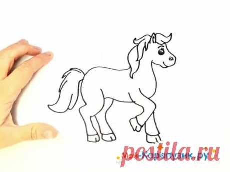 Как нарисовать лошадь простым карандашом