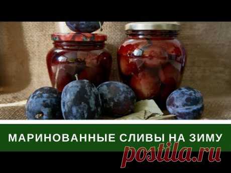 Маринованные Сливы На Зиму: Мой Супер Рецепт