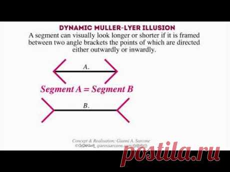 Dynamic Müller Lyer Illusion