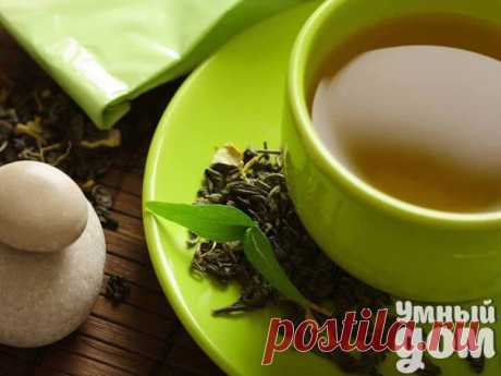 Зеленый чай полезен для сердечно-сосудистой системы