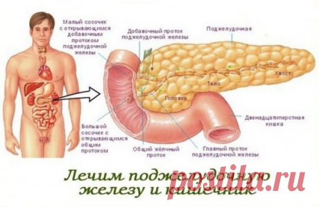 Лечение поджелудочной 
Панкреатит:
- перемолоть гречку, 1-2 ст. л. гречневой муки настоять на 1 стакане молочной сыворотки. Утром съедать вместо завтрака; 
- 20 г измельченной коры осины залить 200 мл воды, варить на водяной бане 20 минут. Настаивать сутки, принимать по 1 ст. л. 3 ра