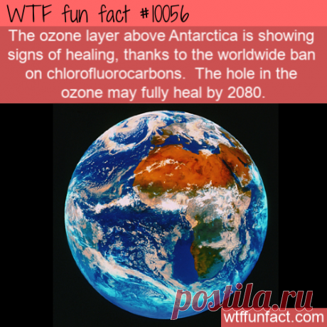 WTF Fun Fact – Ozone Healing &amp;#8211; Top Best Celebrity Blogs