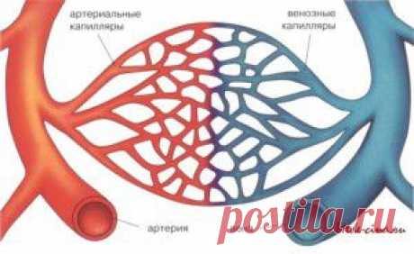 Витамины и минералы против инсульта