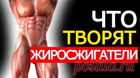 Худей быстро и легко! Капли для похудения Fire Fit купить, цена, отзывы Фаер Фит для похудения
Вот что будет с вашим телом от Жиросжигателей (Это лучше знать заранее) Всем привет! Добро пожаловать на канал! Тема сегодняшнего видео жиросжигатели. А именно мы разберем обратную сторону медали. Производители нам обещает одно, ...