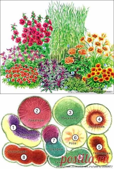 Идея для клумбы на солнцепеке — 6 соток