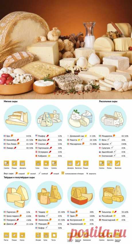Как правильно выбрать сыр — наглядная инструкция для чайников