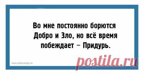 24 юмористических открытки на каждый день для поддержания градуса хорошего настроения