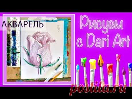 Подробный видео урок по акварели для начинающих! Рисуем розу! #Dari_Art