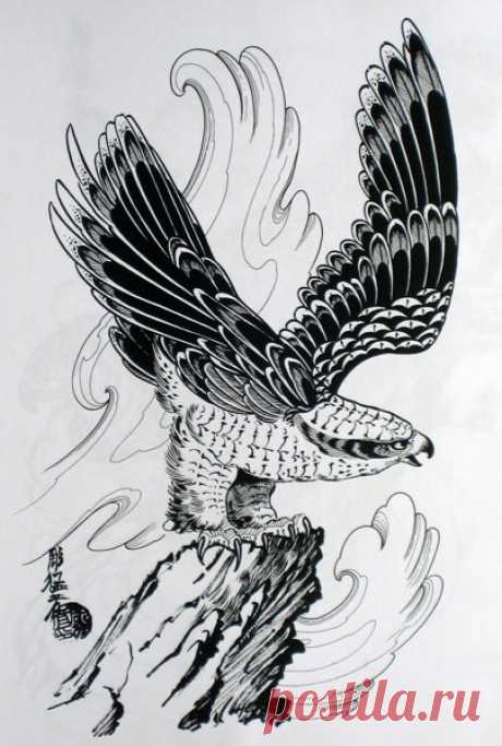 Мужские эскизы Птицы - Студия художественной татуировки PRO-tattoo