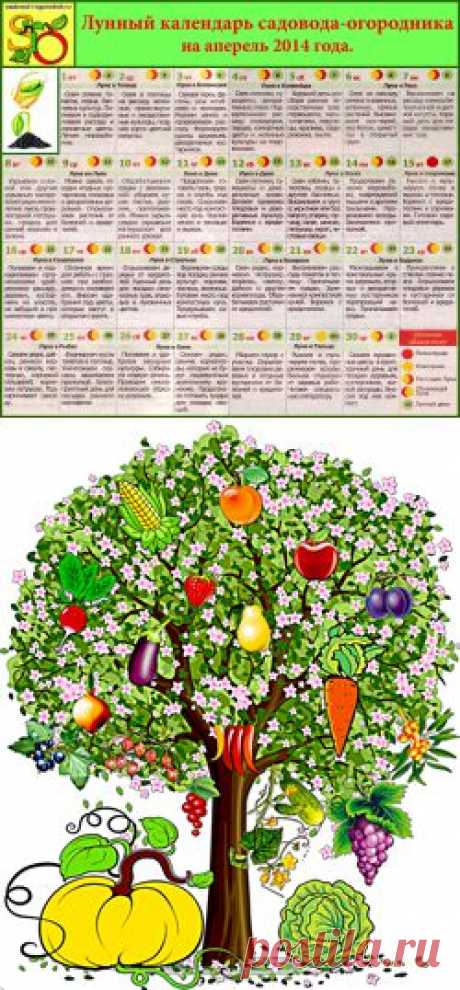ЛУННЫЙ КАЛЕНДАРЬ САДОВОДА-ОГОРОДНИКА НА АПРЕЛЬ 2014 ГОДА