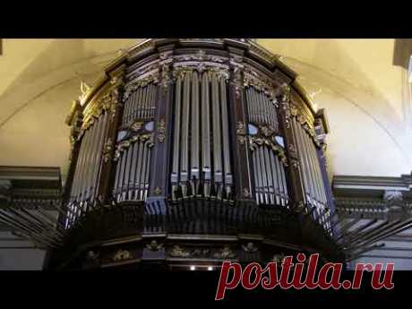 Концерт органной музыки I Шедевры классической музыки