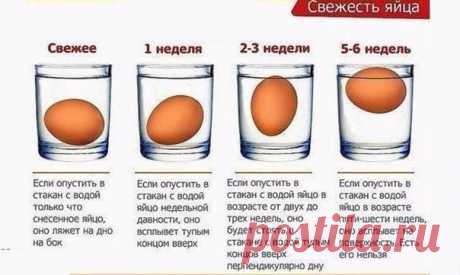 Определяем свежесть продукта при помощи стакана воды.