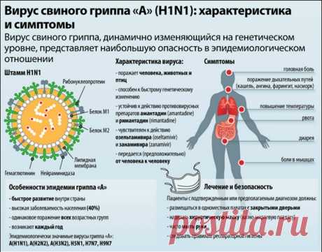 ОСОБЕННОСТИ СВИНОГО ГРИППА И ЕГО ПРОФИЛАКТИКА.