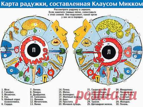 Как определить болезнь по глазам, 19 признаков — Полезные советы