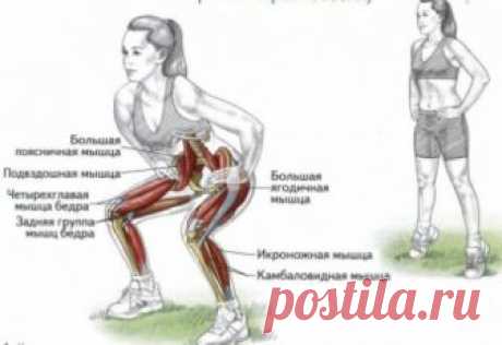 Приседания: польза или вред? Правильная техника приседаний | Mamapedia.com.ua
