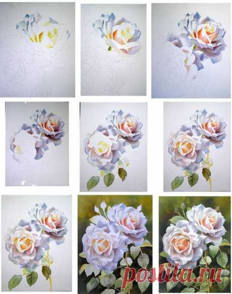 Рисуем розы акварелью: мастер-класс — Сделай сам, идеи для творчества - DIY Ideas