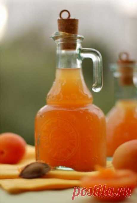 Как сделать вино из абрикосов в домашних условиях: 4 рецепта - Onwomen.ru