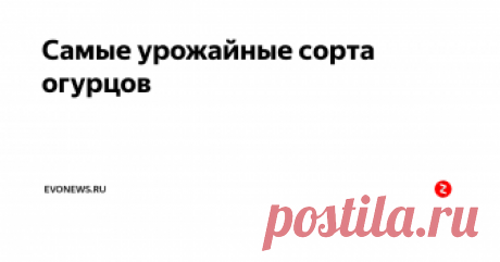 Самые урожайные сорта огурцов Огурцы – универсальный овощ. Он растет в любой период лета, в парниках и на открытом грунте и умудряется зреть в холодных регионах, неподходящих для земледелия.
При выборе огурцов для посадки нужно учитывать, в какой период они будут созревать: ранние сорта всегда нежные, с тонкой кожицей и хорошо подходят для салатов. Выращивать их на открытом грунте не рекомендуется.
Поздние огурцы можно использ