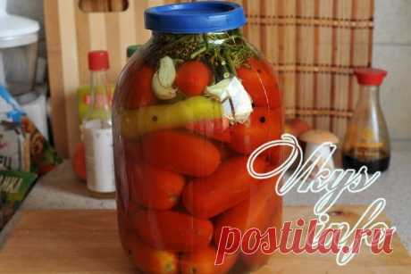 Соленые помидоры, пальчики оближешь – рецепт засолки с фото