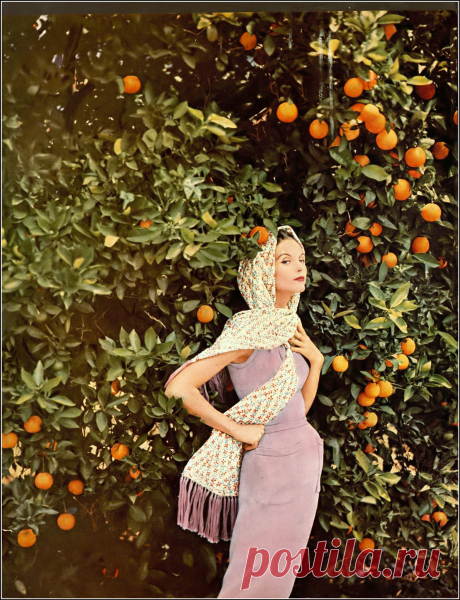 Anne St. Marie, photo by Tom Palumbo, Harper's Bazaar, November 1954