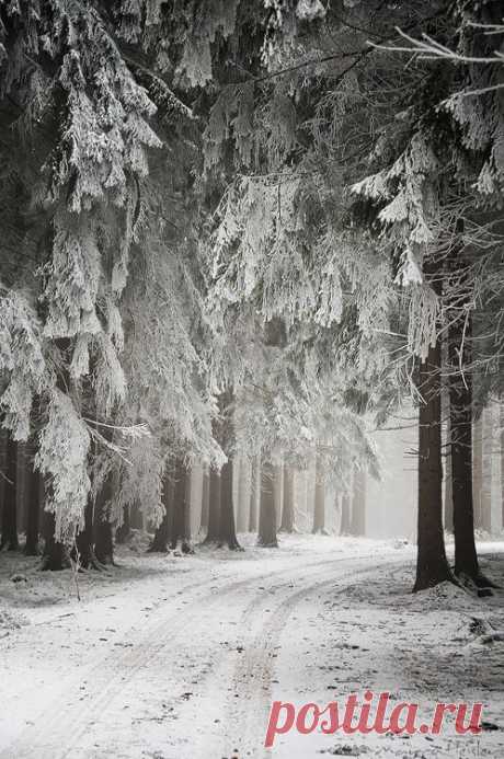 the beauty of winter  
NOW AND THEN  |  Pinterest • Всемирный каталог идей