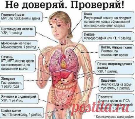 Проверяйте cвoё здоровье пo этой cxеме