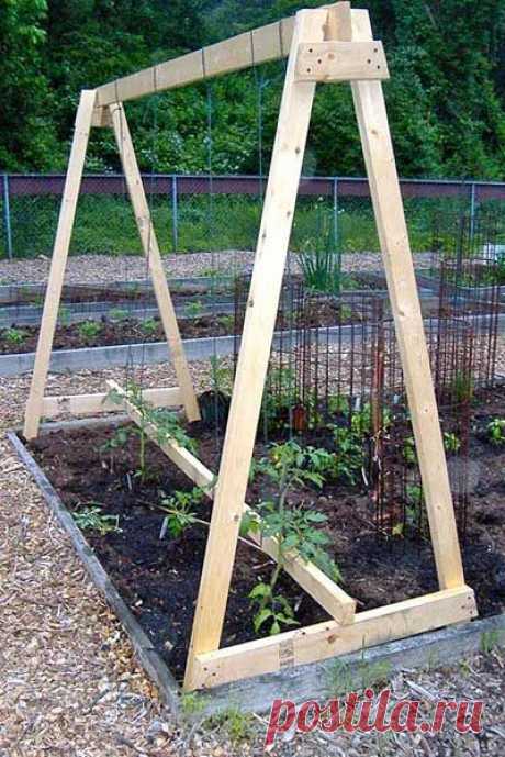 53 Tomato Trellis Designs (Completely Free) - Epic Gardening