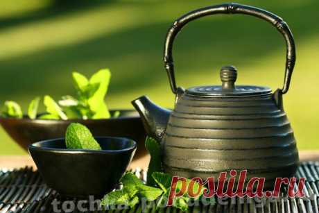 Зеленый чай для похудения: как правильно употреблять