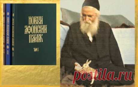 Святой Паисий Святогорец: «Когда мы возжигаем свечу о душе усопшего человека, то он получает огромную пользу» | Паисий Святогорец | Яндекс Дзен