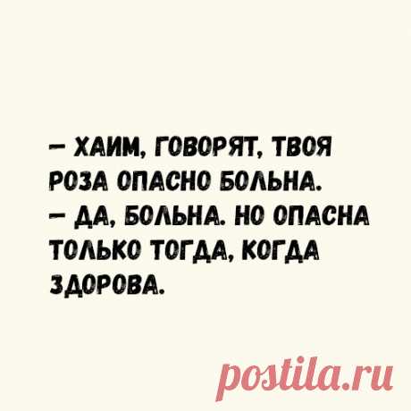 — Сарочка, ты сегодня прелестно выглядишь! - МАЛЕНЬКАЯ СТРАНА МС - медиаплатформа МирТесен