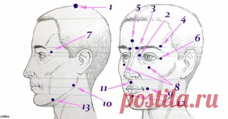 13 точек, которые запускают удивительные процессы в организме