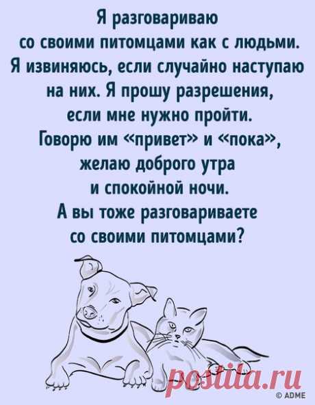 Вы тоже разговариваете со своими питомцами?