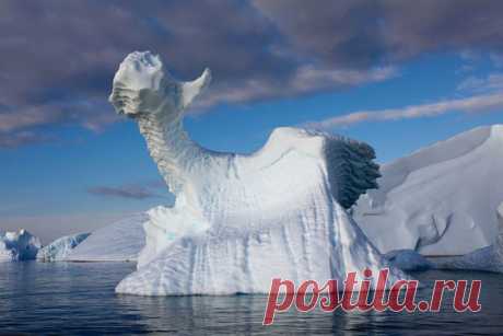 Чарующие айсберги Антарктиды. Чарующие айсберги Антарктиды