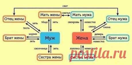 (90) Одноклассники