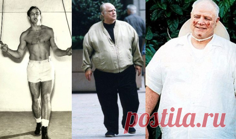 Марлон Брандо превратился из эталона красоты в обрюзгшего толстяка весом 136 кг - QARI