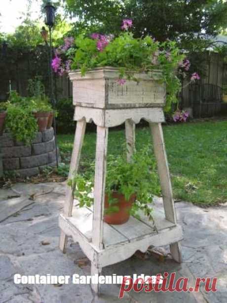 Container Gardening Ideas