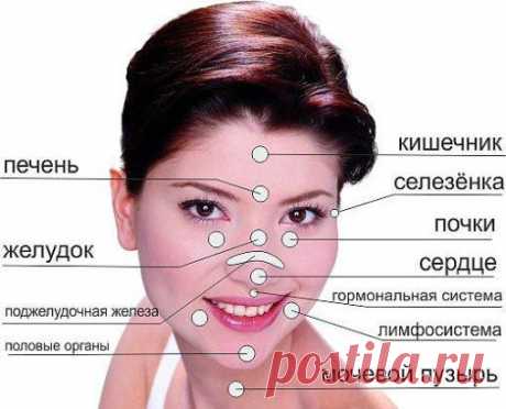 По области на лице, где выскакивают прыщи, можно определить, с какими органами у вас возможны непорядки.Сохрани у себя на стене,чтоб не потерять ✔