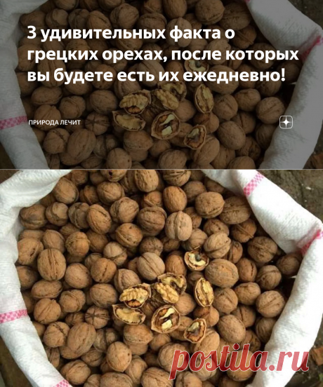 3 факта о грецких орехах-ИММУНИТЕТ, РАК,СЕРДЦЕ, после которых вы будете есть их ежедневно! | Дзен
