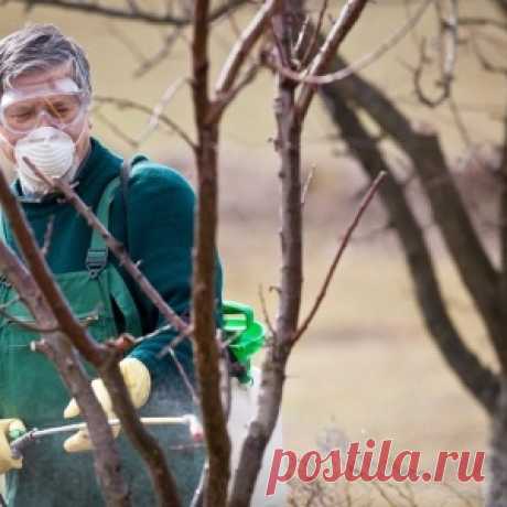 Апрельская программа для садовода