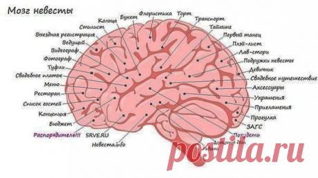 Зачем нужен свадебный организатор?