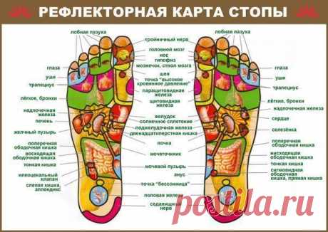 Клиника &quot;Врач+&quot;- вызов врача на дом, УЗИ,ЭКГ,ЭЭГ