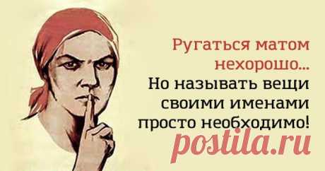 16 ЗАДОРНЫХ ОТКРЫТОК, ЧТОБЫ РАЗВЕЯТЬ ГРУСТЬ И ХАНДРУ