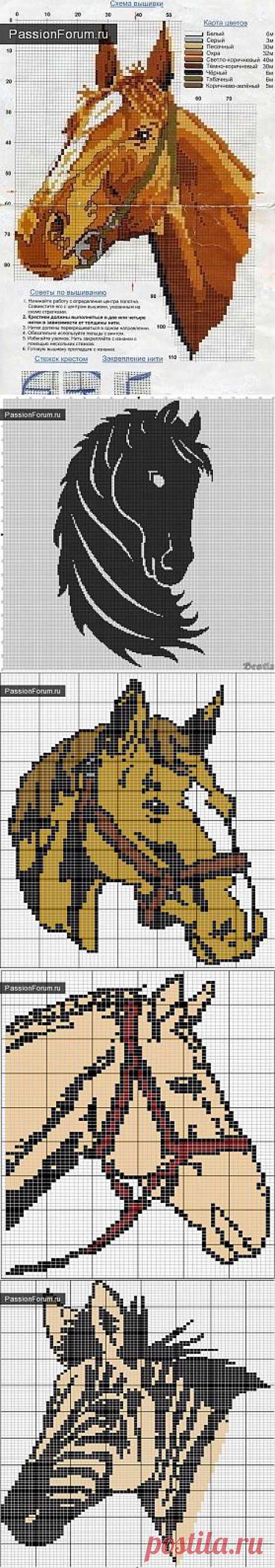 ЛОШАДКИ / Схемы вышивки крестиком / PassionForum - мастер-классы по рукоделию