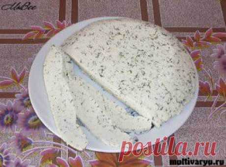 Домашний сыр с зеленью » Мультиварка - легко готовить, вкусно есть! | Мультиварка - легко готовить, вкусно есть!