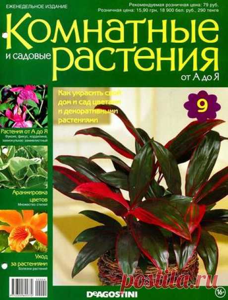 Комнатные и садовые растения от А до Я №9 2014.pdf — Яндекс.Диск
