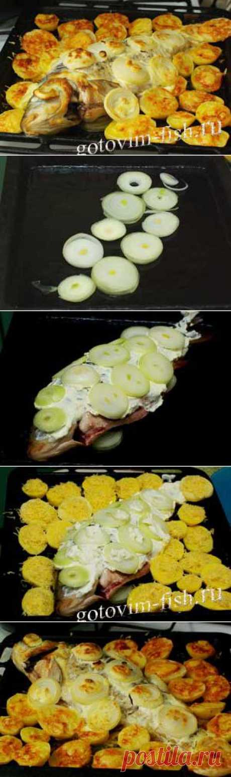 Карп, запеченный в духовке с картошкой | Пошаговый фото-рецепт