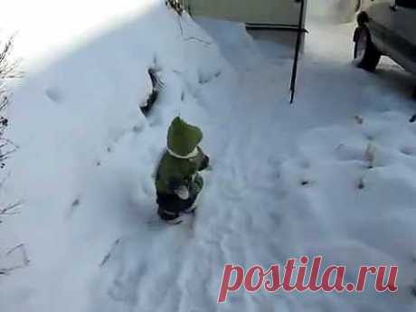 ▶ Обезьянка Иван на зимней прогулке на даче - YouTube