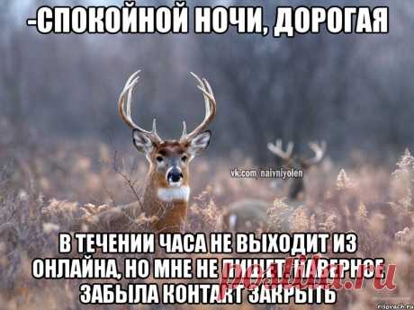 -Спокойной ночи, дорогая В течении часа не выходит из онлайна, но мне не пишет. Наверное забыла контакт закрыть, Мем Наивный олень - Рисовач .Ру